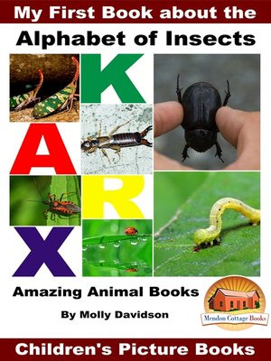 cover image of My First Book about the Alphabet of Insects